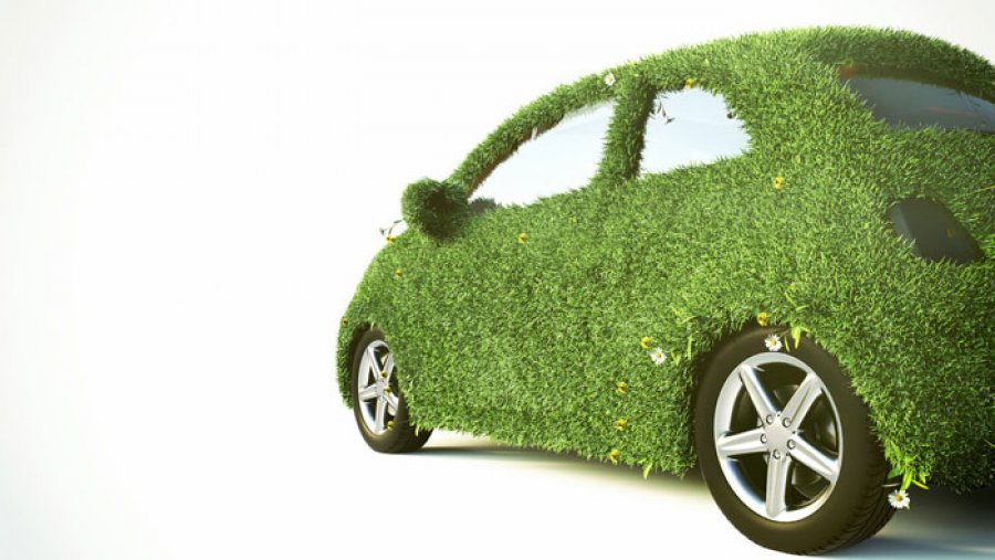 Environmental Policy